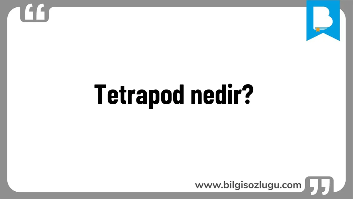 Tetrapod nedir?
