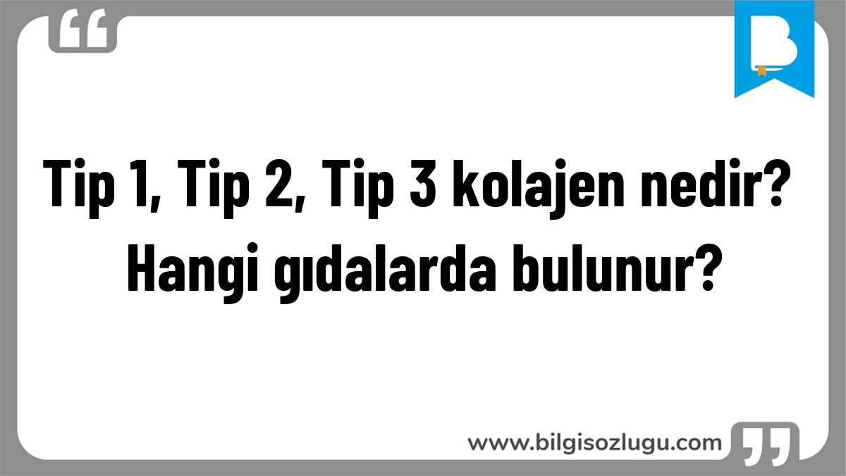 Tip 1, Tip 2, Tip 3 kolajen nedir? Hangi gıdalarda bulunur?