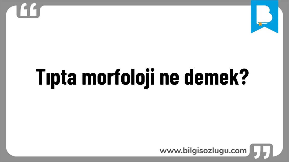 Tıpta morfoloji ne demek?