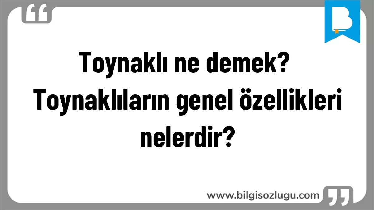 Toynaklı ne demek? Toynaklıların genel özellikleri nelerdir?