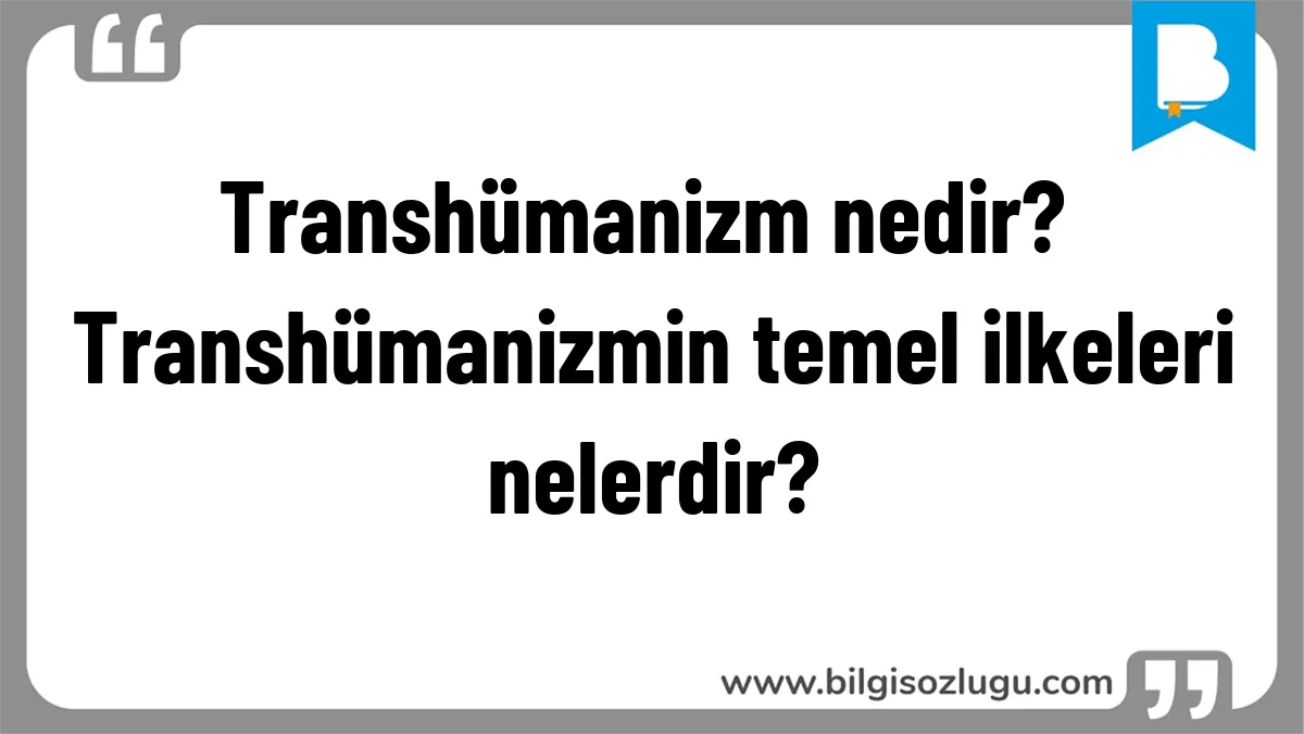 Transhümanizm nedir? Transhümanizmin temel ilkeleri nelerdir?