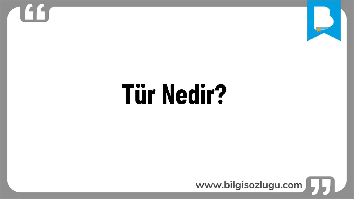 Tür Nedir?