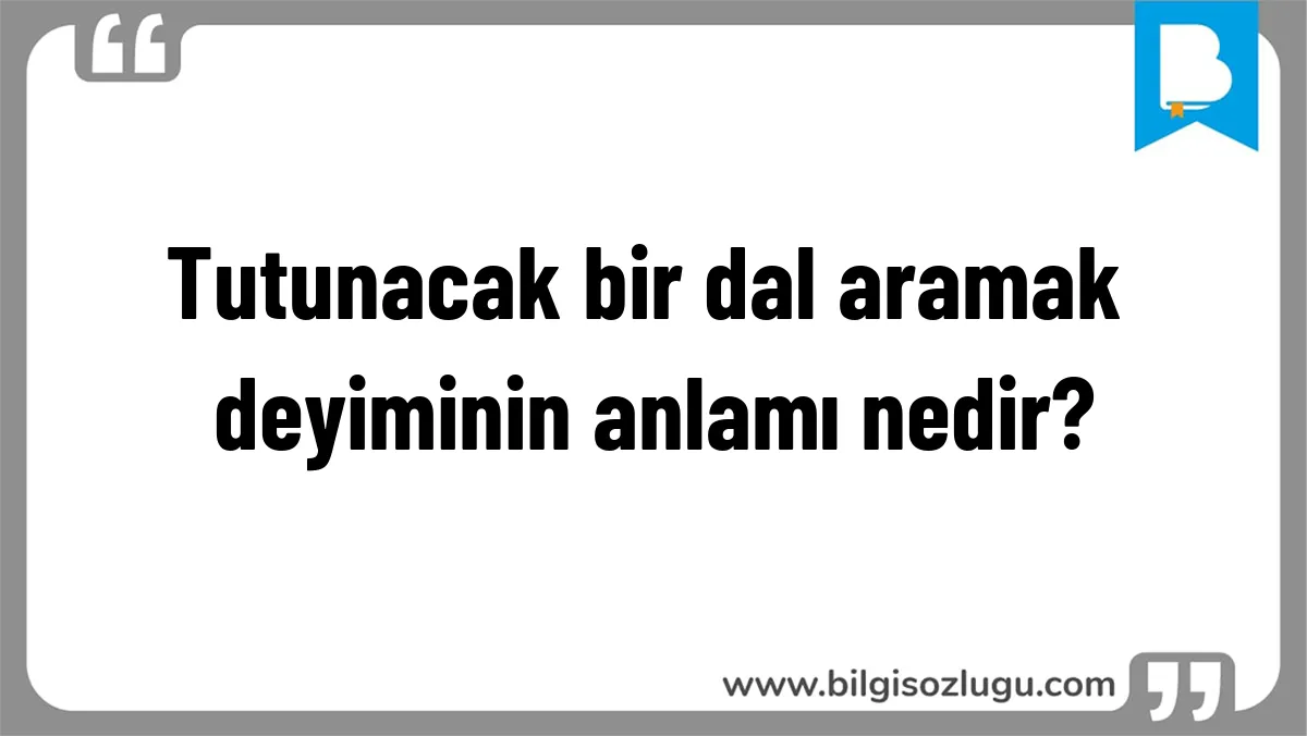 Tutunacak bir dal aramak deyiminin anlamı nedir?