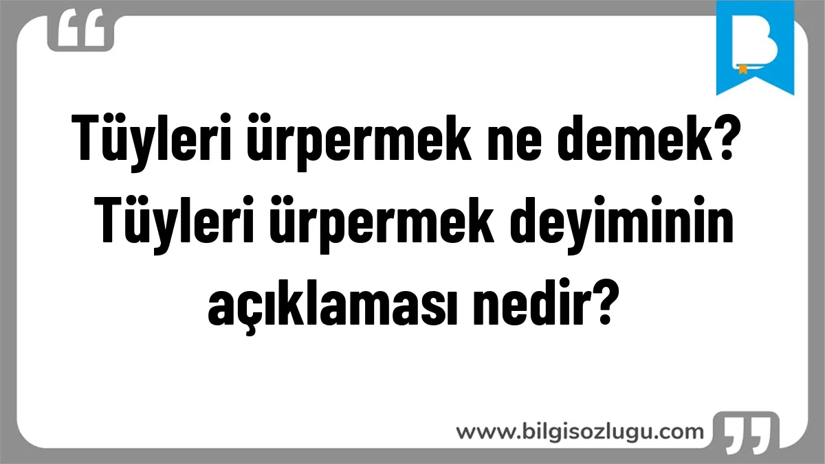 Tüyleri ürpermek ne demek? Tüyleri ürpermek deyiminin açıklaması nedir?