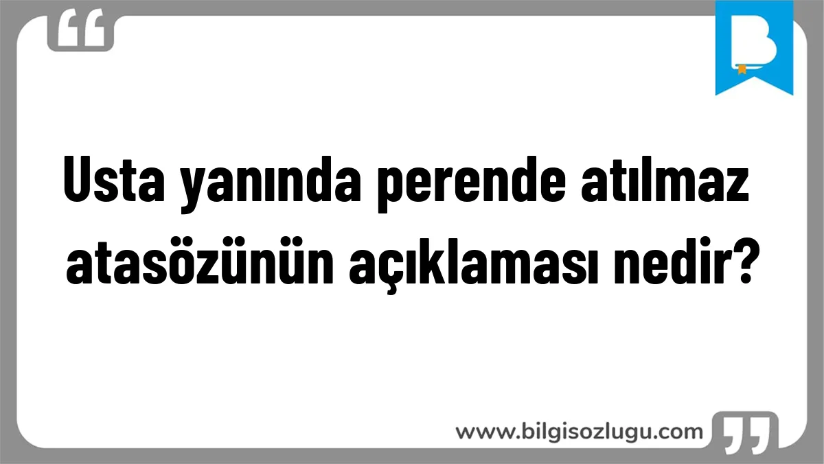 Usta yanında perende atılmaz atasözünün açıklaması nedir?