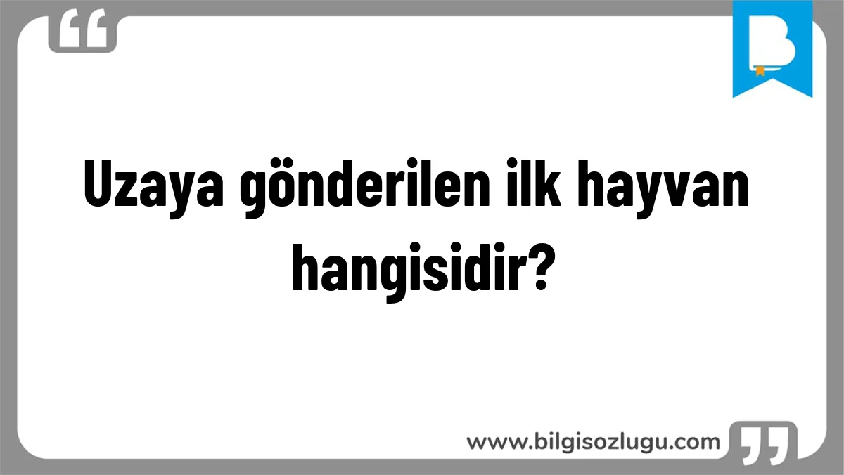 Uzaya gönderilen ilk hayvan hangisidir?