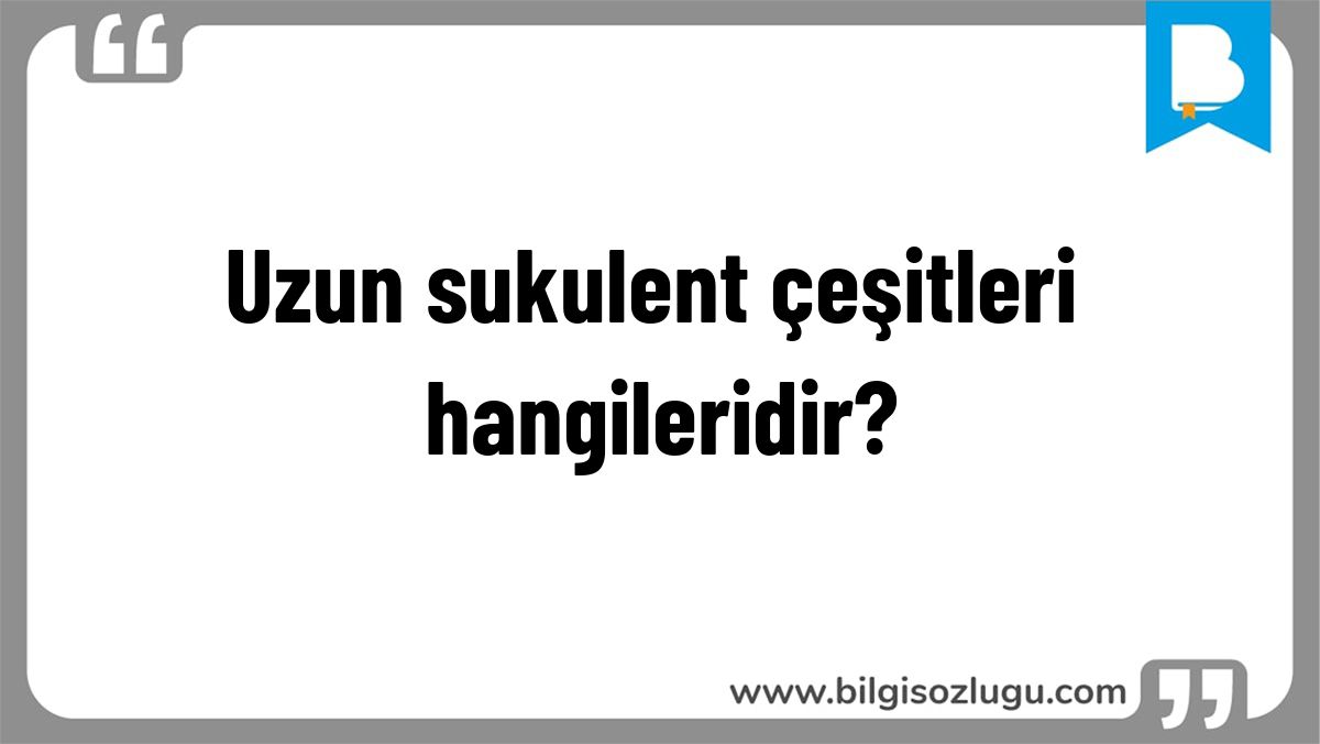 Uzun sukulent çeşitleri hangileridir?