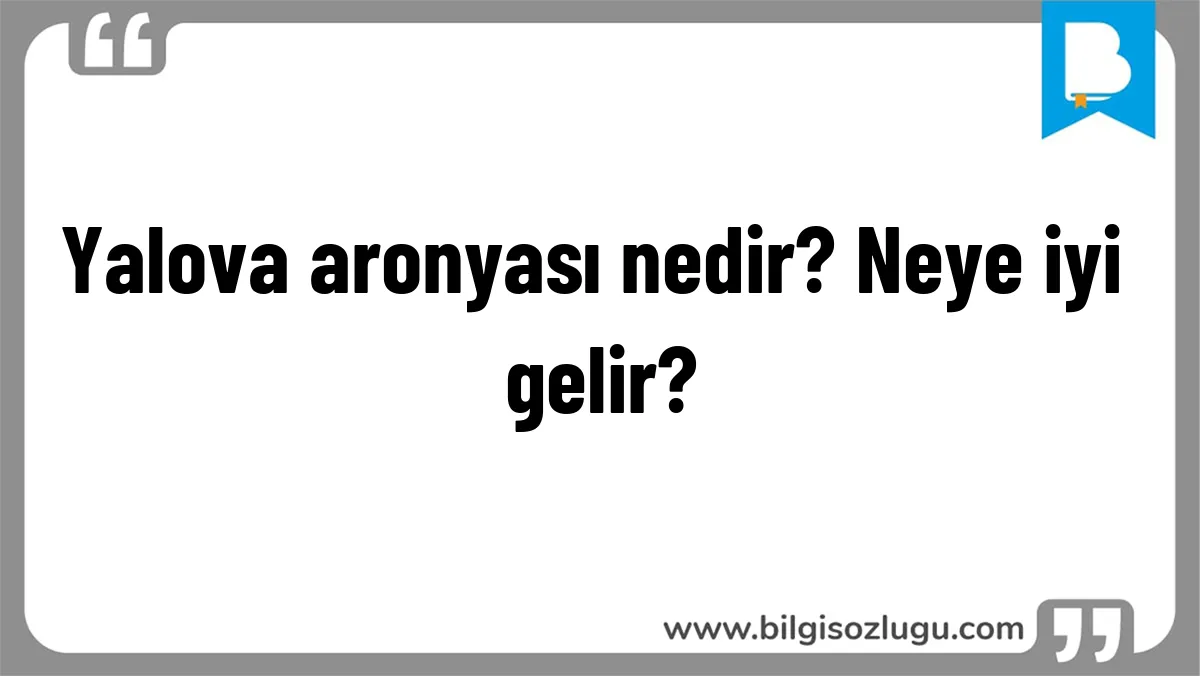 Yalova aronyası nedir? Neye iyi gelir?