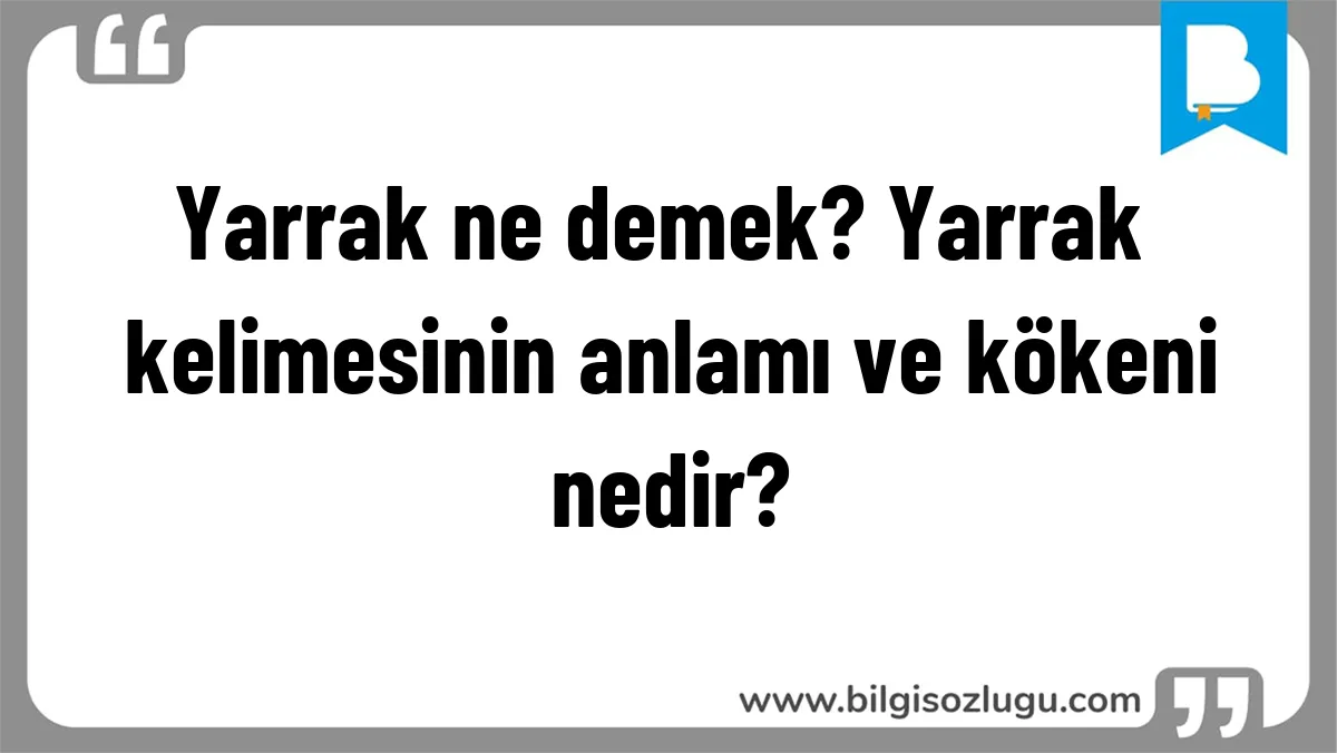 Yarrak ne demek? Yarrak kelimesinin anlamı ve kökeni nedir?