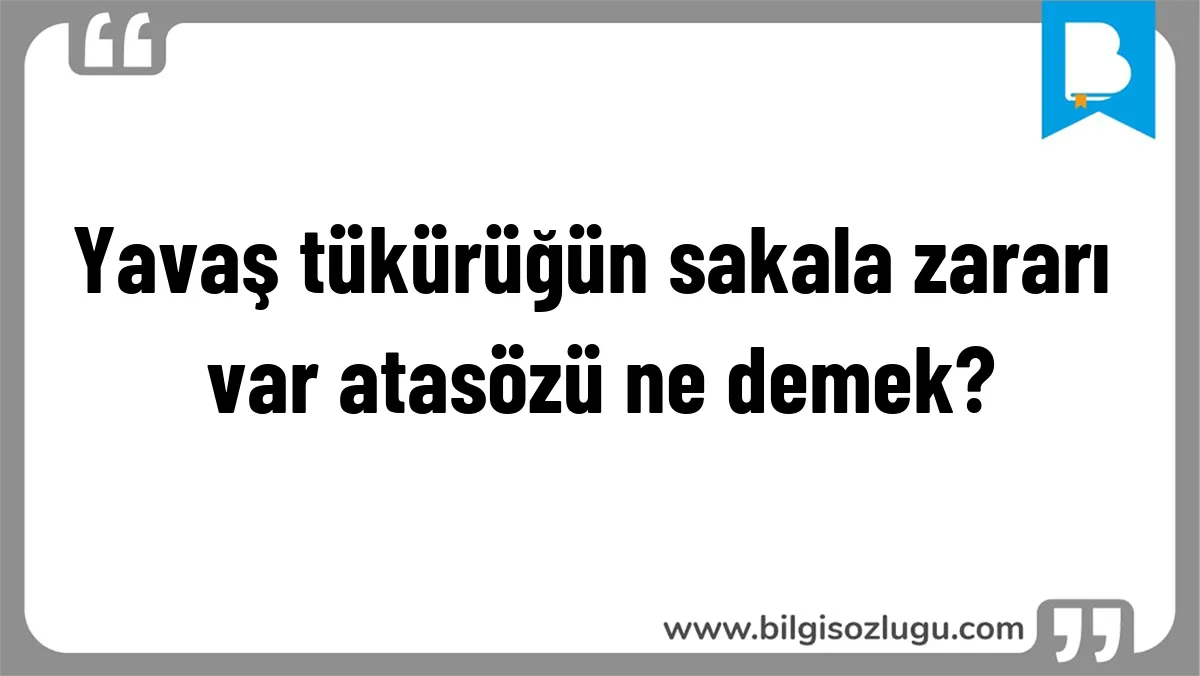 Yavaş tükürüğün sakala zararı var atasözü ne demek?