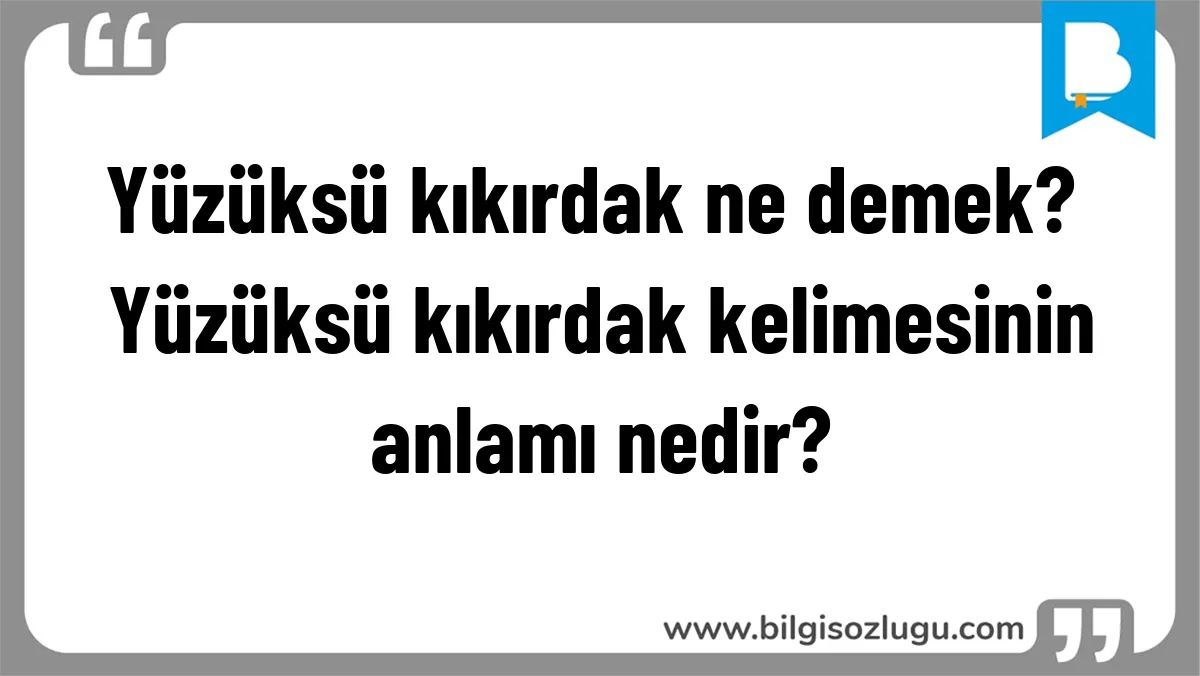Yüzüksü kıkırdak ne demek? Yüzüksü kıkırdak kelimesinin anlamı nedir?