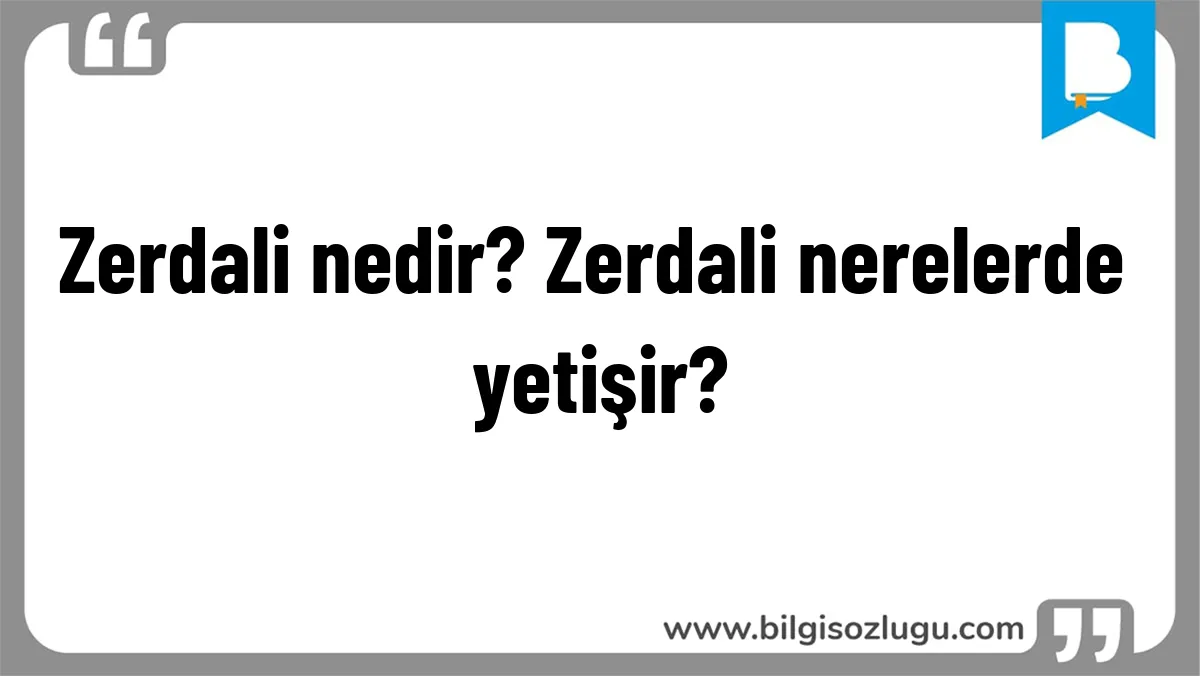 Zerdali nedir? Zerdali nerelerde yetişir?