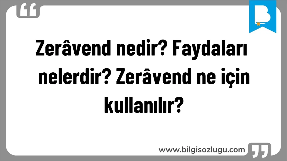 Zerâvend nedir? Faydaları nelerdir? Zerâvend ne için kullanılır?