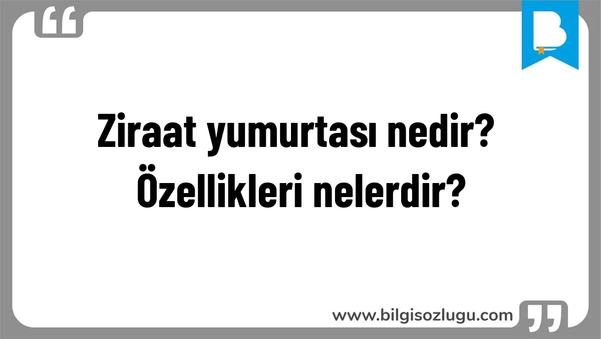 Ziraat yumurtası nedir? Özellikleri nelerdir?