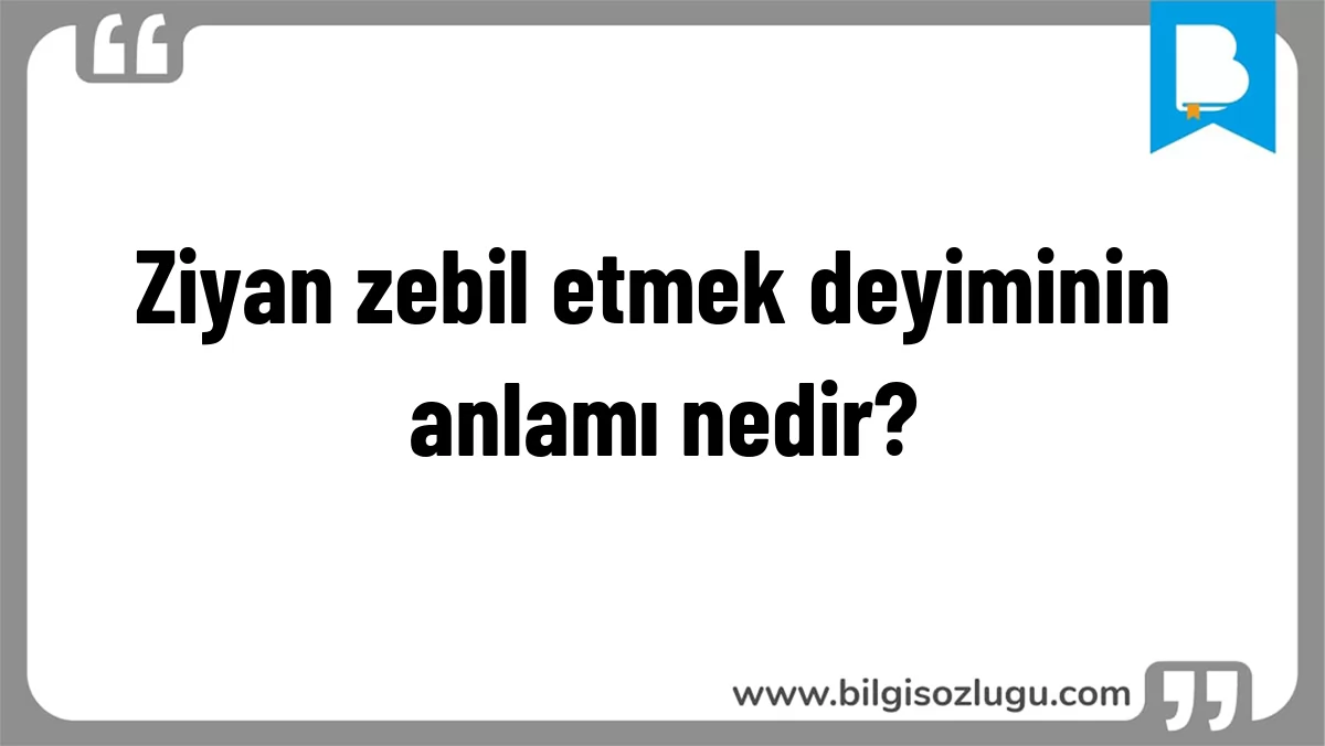 Ziyan zebil etmek deyiminin anlamı nedir?