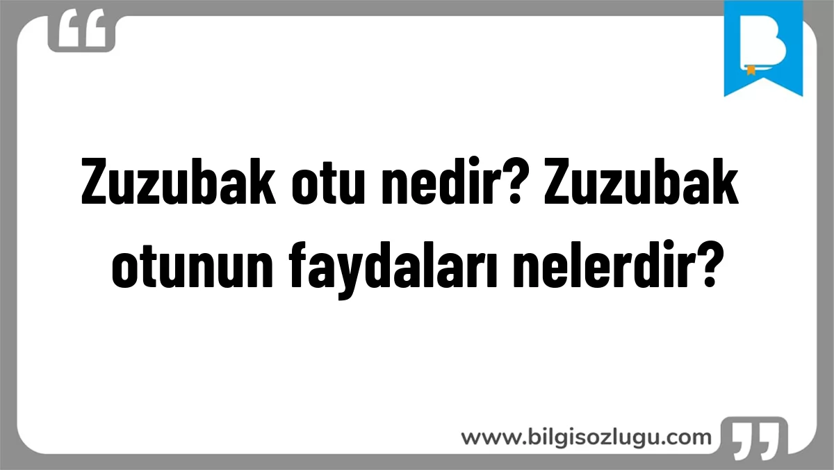 Zuzubak otu nedir? Zuzubak otunun faydaları nelerdir?